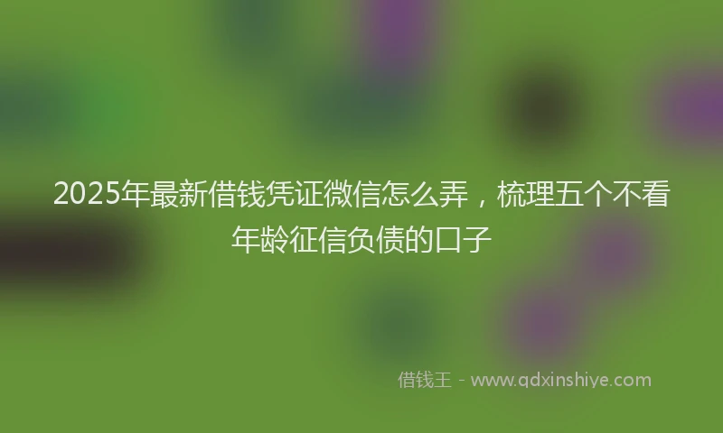 2025年最新借钱凭证微信怎么弄，梳理五个不看年龄征信负债的口子