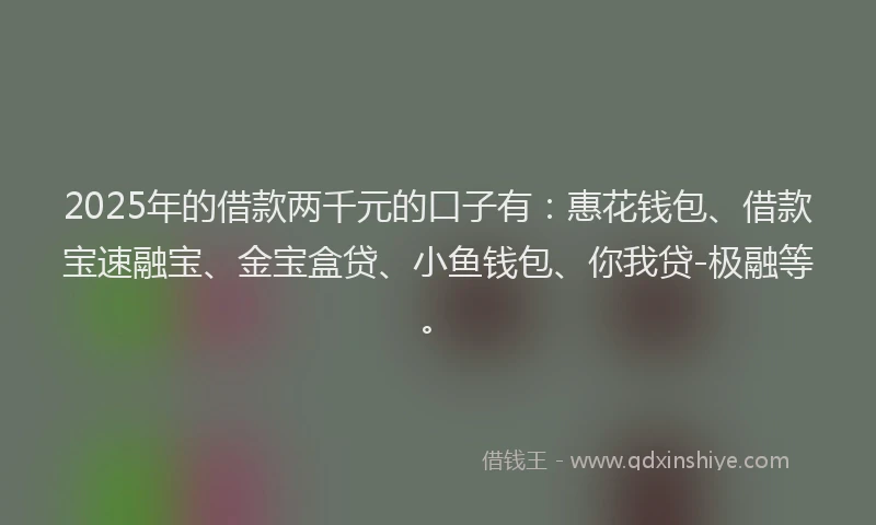 2025年的借款两千元的口子有：惠花钱包、借款宝速融宝、金宝盒贷、小鱼钱包、你我贷-极融等。