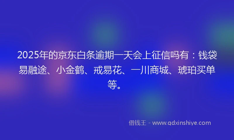 2025年的京东白条逾期一天会上征信吗有：钱袋易融途、小金鹤、戒易花、一川商城、琥珀买单等。