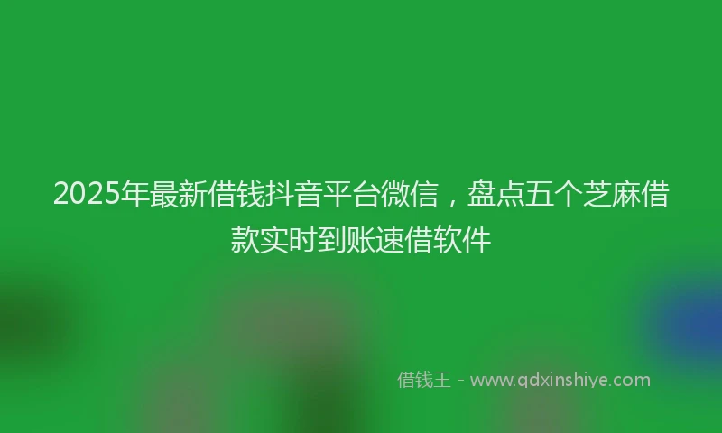 2025年最新借钱抖音平台微信，盘点五个芝麻借款实时到账速借软件