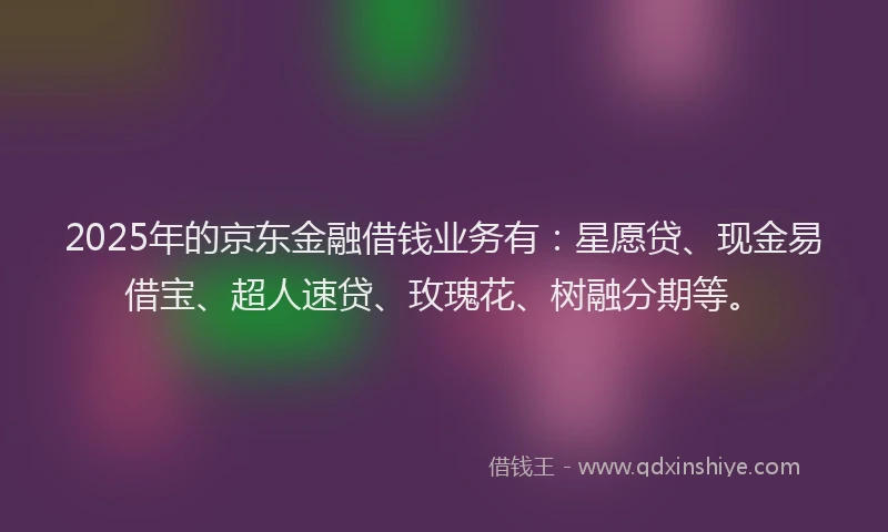 2025年的京东金融借钱业务有：星愿贷、现金易借宝、超人速贷、玫瑰花、树融分期等。