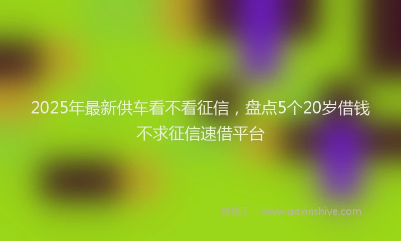2025年最新供车看不看征信，盘点5个20岁借钱不求征信速借平台