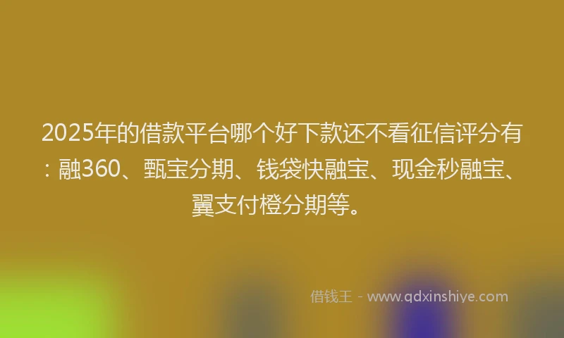 2025年的借款平台哪个好下款还不看征信评分有：融360、甄宝分期、钱袋快融宝、现金秒融宝、翼支付橙分期等。