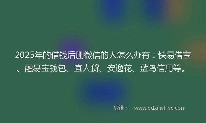 2025年的借钱后删微信的人怎么办有：快易借宝、融易宝钱包、宜人贷、安逸花、蓝鸟信用等。