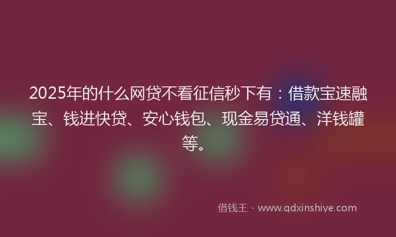2025年的什么网贷不看征信秒下有：借款宝速融宝、钱进快贷、安心钱包、现金易贷通、洋钱罐等。