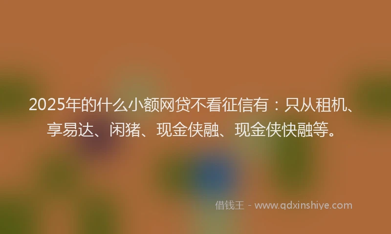 2025年的什么小额网贷不看征信有：只从租机、享易达、闲猪、现金侠融、现金侠快融等。
