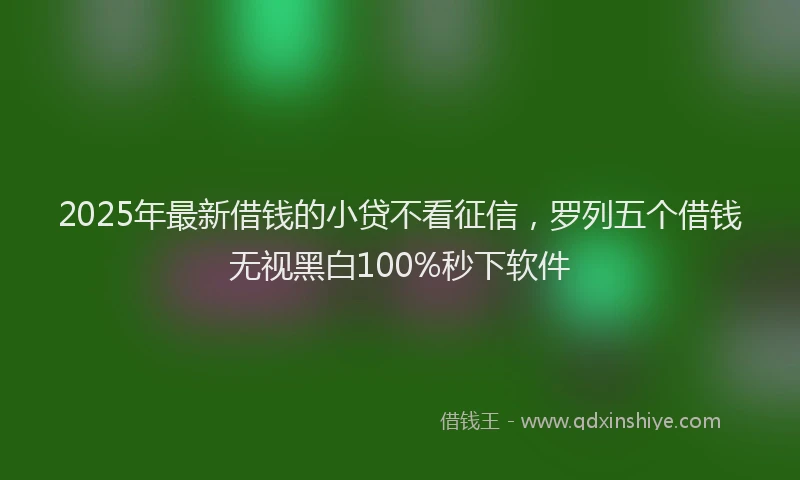 2025年最新借钱的小贷不看征信，罗列五个借钱无视黑白100%秒下软件