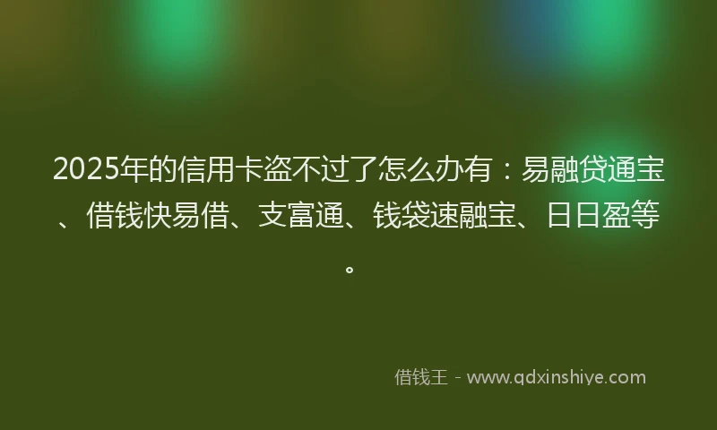 2025年的信用卡盗不过了怎么办有：易融贷通宝、借钱快易借、支富通、钱袋速融宝、日日盈等。