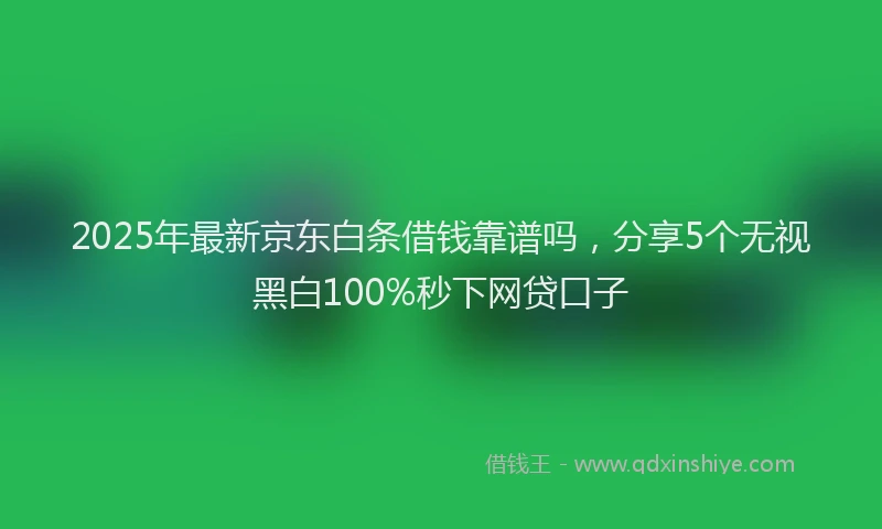 2025年最新京东白条借钱靠谱吗，分享5个无视黑白100%秒下网贷口子