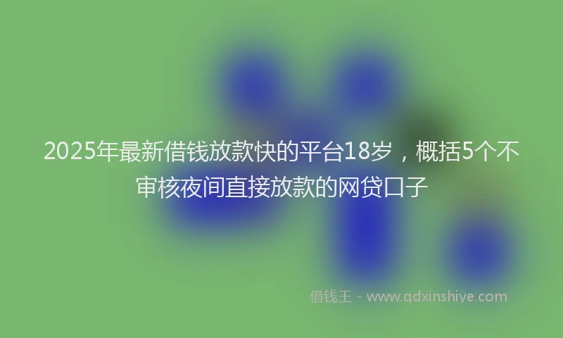 2025年最新借钱放款快的平台18岁，概括5个不审核夜间直接放款的网贷口子