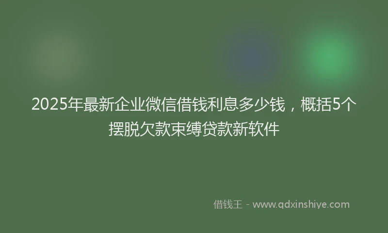 2025年最新企业微信借钱利息多少钱，概括5个摆脱欠款束缚贷款新软件