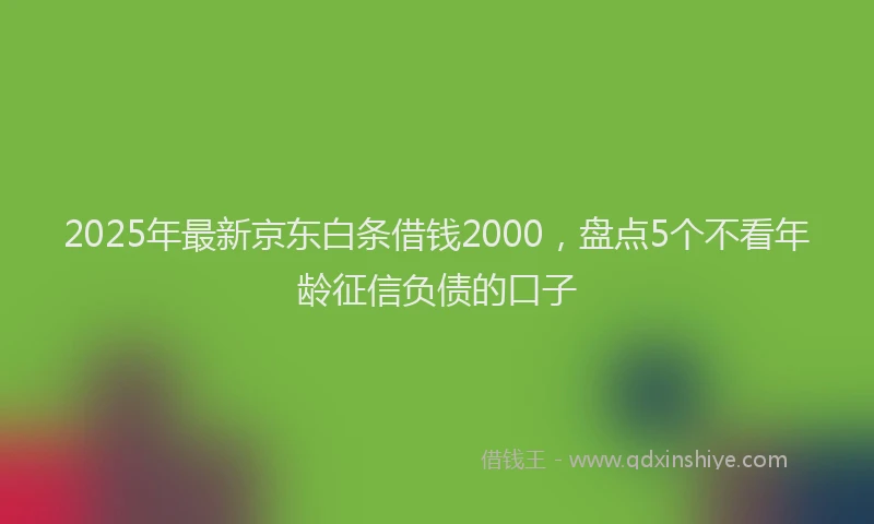 2025年最新京东白条借钱2000，盘点5个不看年龄征信负债的口子