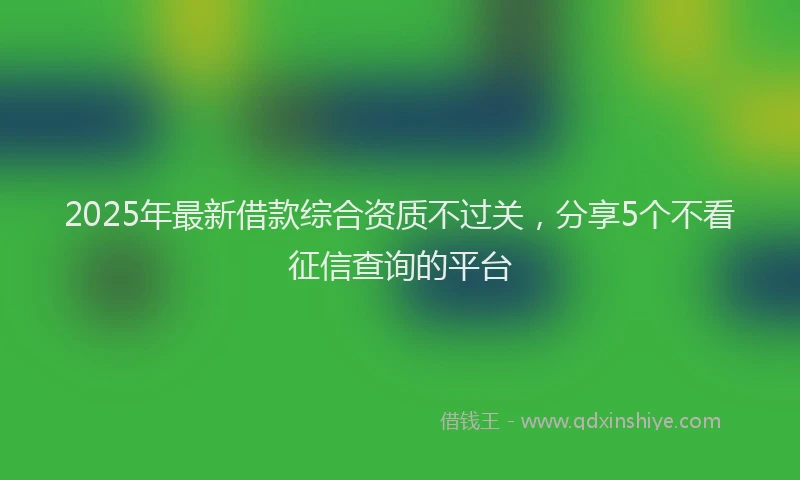 2025年最新借款综合资质不过关，分享5个不看征信查询的平台