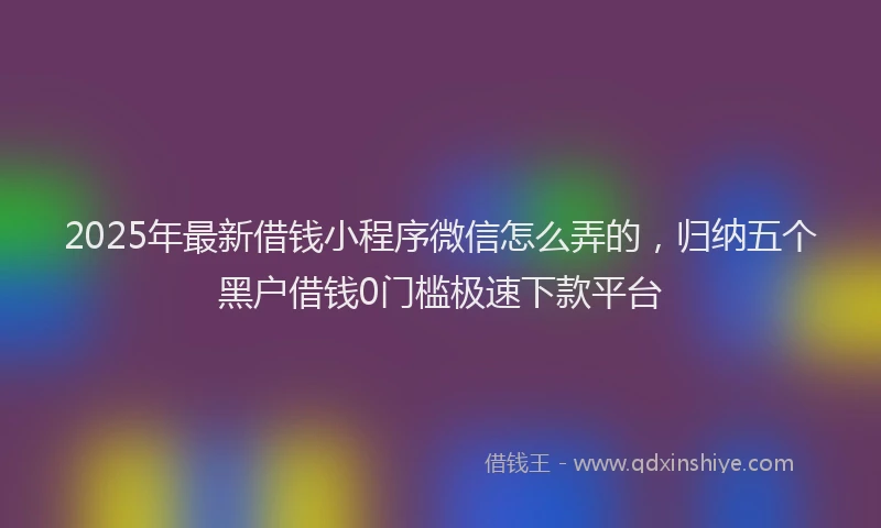 2025年最新借钱小程序微信怎么弄的，归纳五个黑户借钱0门槛极速下款平台