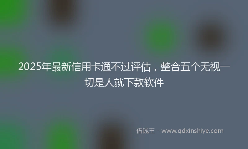 2025年最新信用卡通不过评估，整合五个无视一切是人就下款软件