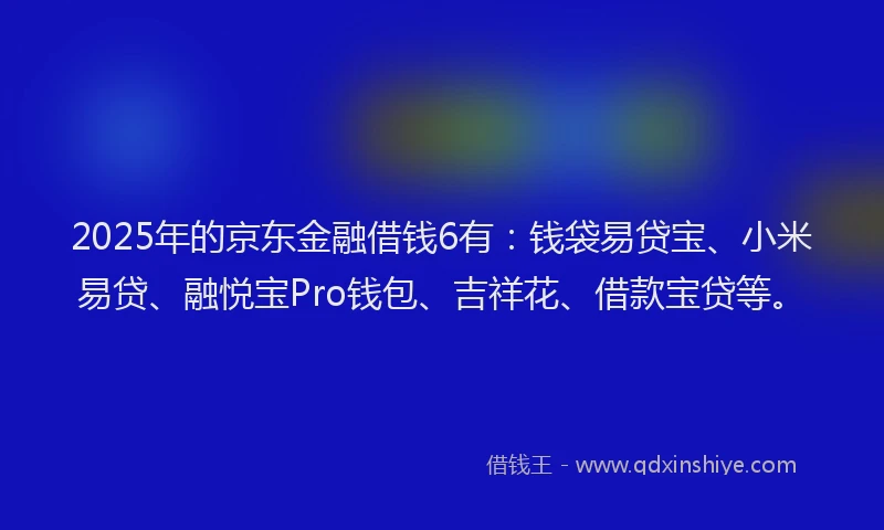 2025年的京东金融借钱6有：钱袋易贷宝、小米易贷、融悦宝Pro钱包、吉祥花、借款宝贷等。