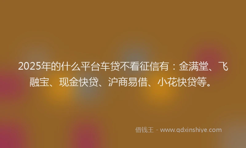 2025年的什么平台车贷不看征信有：金满堂、飞融宝、现金快贷、沪商易借、小花快贷等。