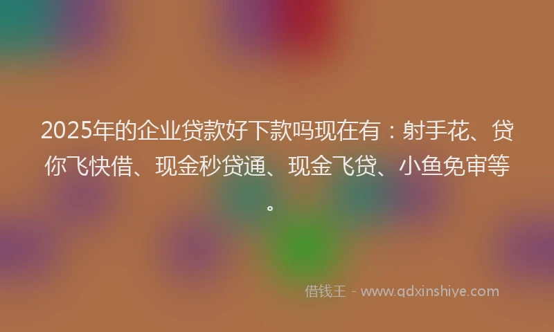 2025年的企业贷款好下款吗现在有：射手花、贷你飞快借、现金秒贷通、现金飞贷、小鱼免审等。