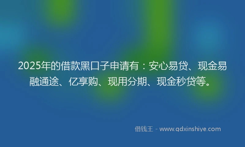 2025年的借款黑口子申请有：安心易贷、现金易融通途、亿享购、现用分期、现金秒贷等。