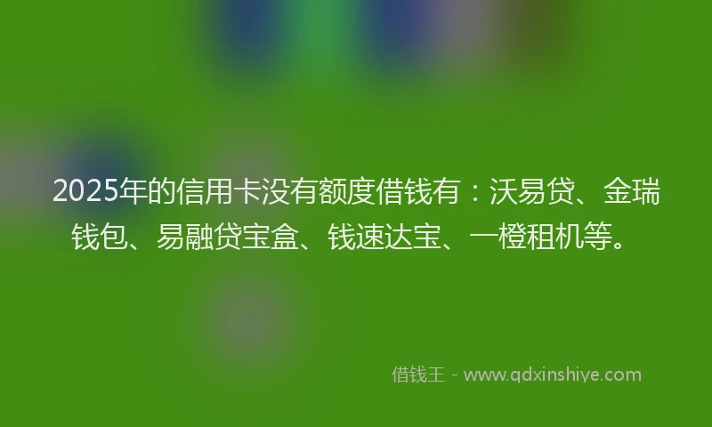 2025年的信用卡没有额度借钱有：沃易贷、金瑞钱包、易融贷宝盒、钱速达宝、一橙租机等。