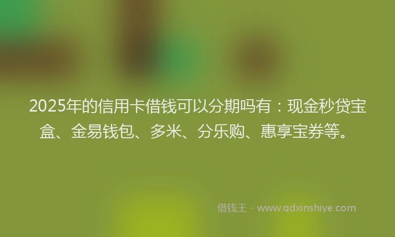 2025年的信用卡借钱可以分期吗有：现金秒贷宝盒、金易钱包、多米、分乐购、惠享宝券等。