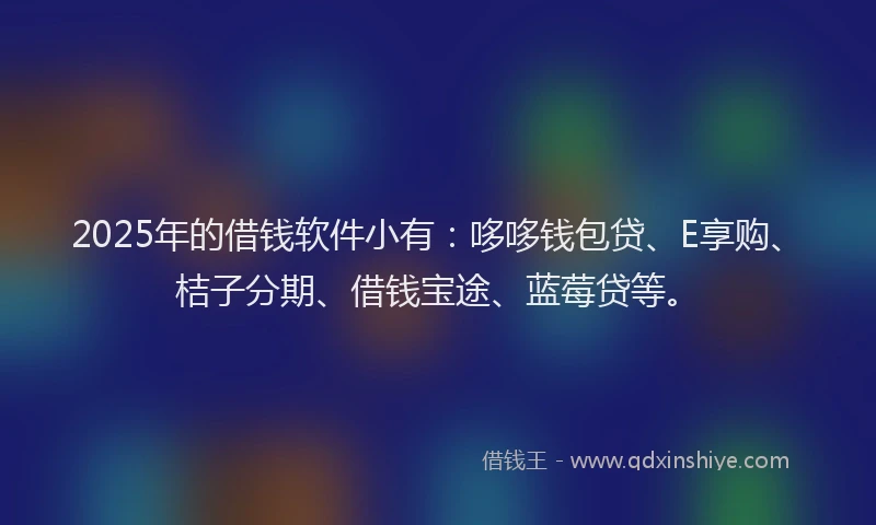 2025年的借钱软件小有：哆哆钱包贷、E享购、桔子分期、借钱宝途、蓝莓贷等。