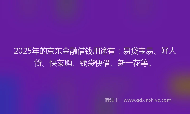 2025年的京东金融借钱用途有：易贷宝易、好人贷、快莱购、钱袋快借、新一花等。