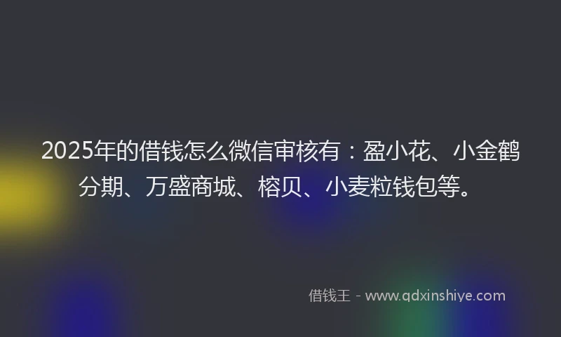 2025年的借钱怎么微信审核有：盈小花、小金鹤分期、万盛商城、榕贝、小麦粒钱包等。