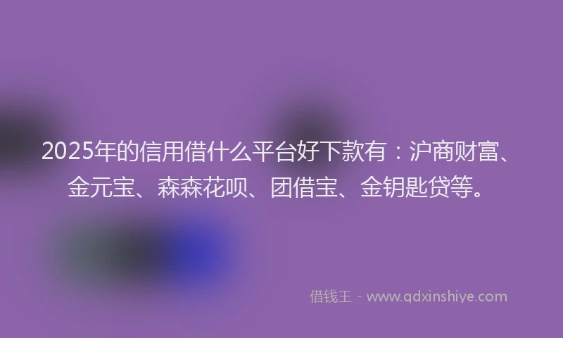 2025年的信用借什么平台好下款有：沪商财富、金元宝、森森花呗、团借宝、金钥匙贷等。