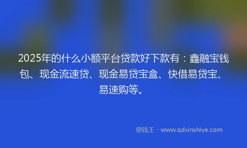 2025年的什么小额平台贷款好下款有：鑫融宝钱包、现金流速贷、现金易贷宝盒、快借易贷宝、易速购等。