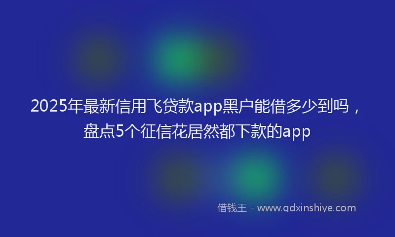 2025年最新信用飞贷款app黑户能借多少到吗，盘点5个征信花居然都下款的app