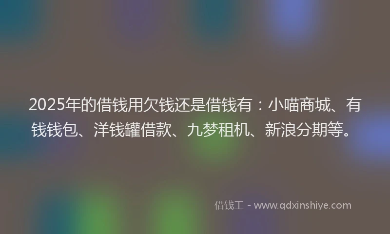 2025年的借钱用欠钱还是借钱有：小喵商城、有钱钱包、洋钱罐借款、九梦租机、新浪分期等。