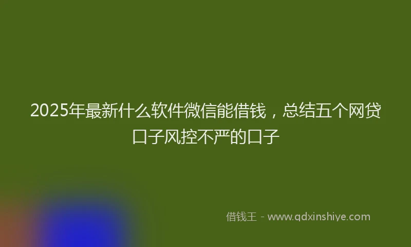 2025年最新什么软件微信能借钱，总结五个网贷口子风控不严的口子