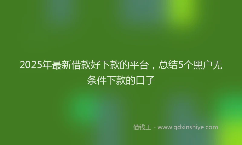 2025年最新借款好下款的平台，总结5个黑户无条件下款的口子