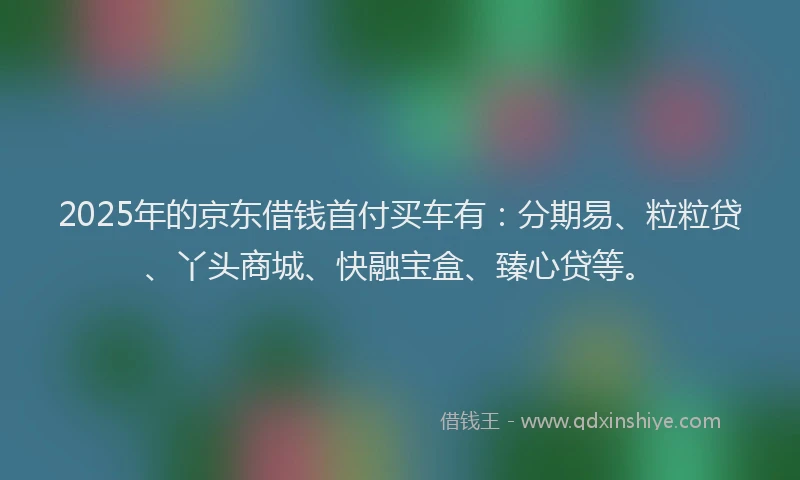 2025年的京东借钱首付买车有：分期易、粒粒贷、丫头商城、快融宝盒、臻心贷等。