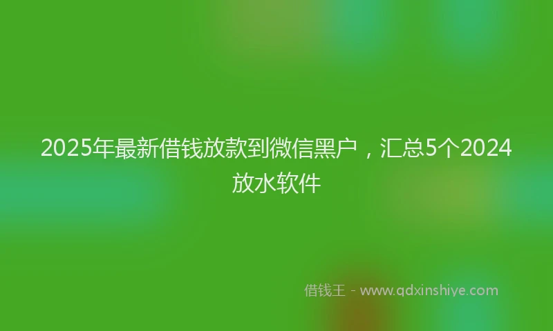 2025年最新借钱放款到微信黑户，汇总5个2024放水软件