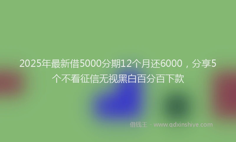 2025年最新借5000分期12个月还6000，分享5个不看征信无视黑白百分百下款