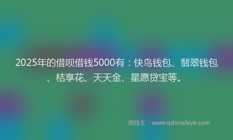 2025年的借呗借钱5000有：快鸟钱包、翡翠钱包、桔享花、天天金、星愿贷宝等。