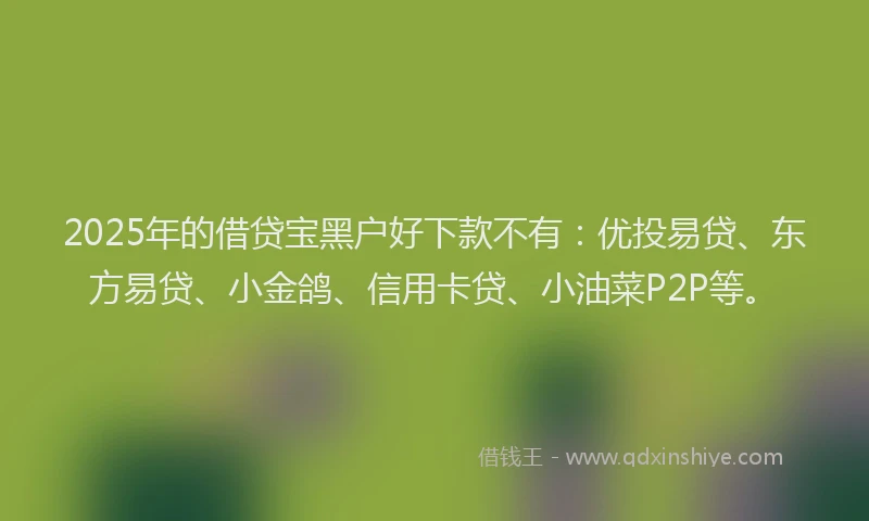 2025年的借贷宝黑户好下款不有：优投易贷、东方易贷、小金鸽、信用卡贷、小油菜P2P等。