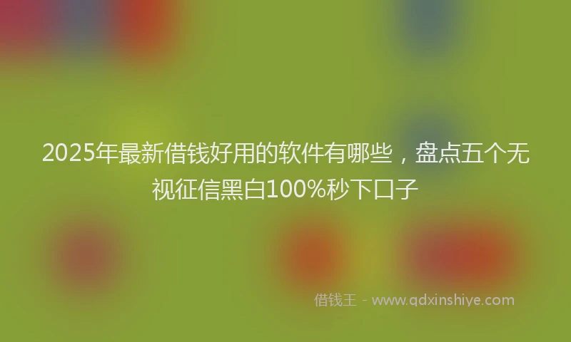 2025年最新借钱好用的软件有哪些，盘点五个无视征信黑白100%秒下口子