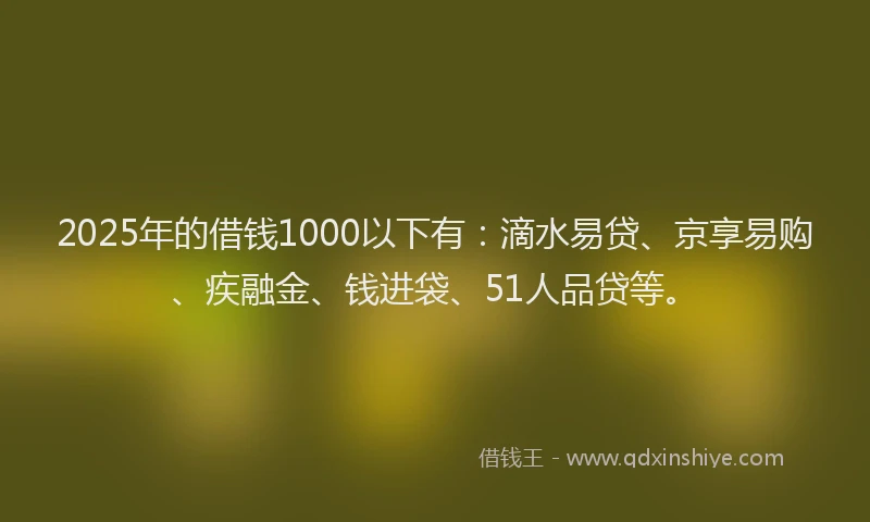 2025年的借钱1000以下有：滴水易贷、京享易购、疾融金、钱进袋、51人品贷等。