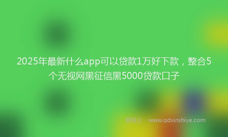 2025年最新什么app可以贷款1万好下款，整合5个无视网黑征信黑5000贷款口子