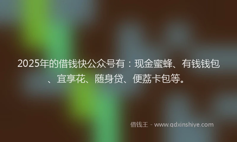 2025年的借钱快公众号有：现金蜜蜂、有钱钱包、宜享花、随身贷、便荔卡包等。