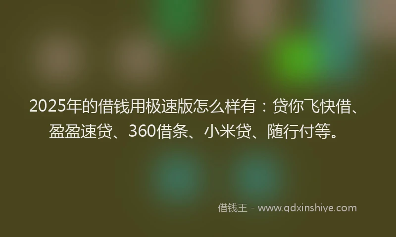 2025年的借钱用极速版怎么样有：贷你飞快借、盈盈速贷、360借条、小米贷、随行付等。
