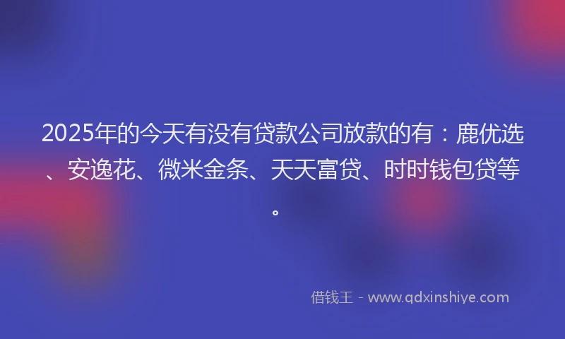 2025年的今天有没有贷款公司放款的有：鹿优选、安逸花、微米金条、天天富贷、时时钱包贷等。