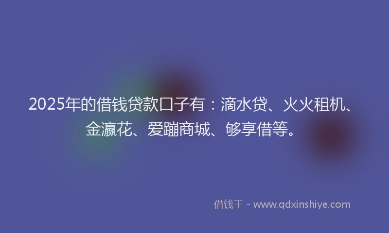 2025年的借钱贷款口子有：滴水贷、火火租机、金瀛花、爱蹦商城、够享借等。