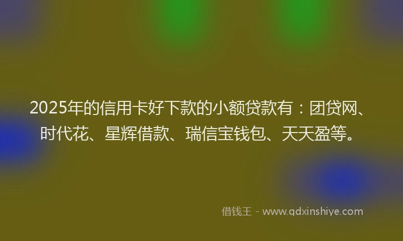 2025年的信用卡好下款的小额贷款有：团贷网、时代花、星辉借款、瑞信宝钱包、天天盈等。