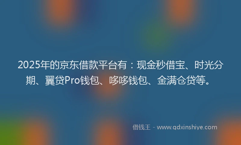 2025年的京东借款平台有：现金秒借宝、时光分期、翼贷Pro钱包、哆哆钱包、金满仓贷等。