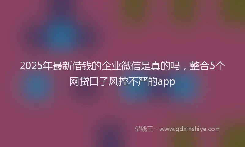 2025年最新借钱的企业微信是真的吗，整合5个网贷口子风控不严的app