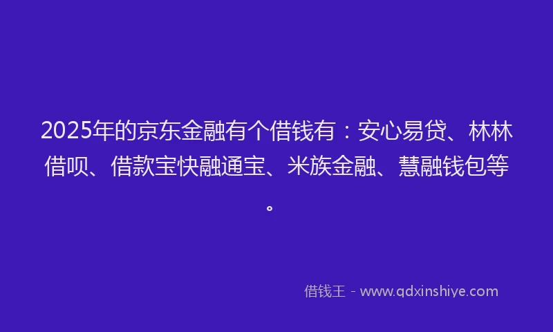 2025年的京东金融有个借钱有：安心易贷、林林借呗、借款宝快融通宝、米族金融、慧融钱包等。